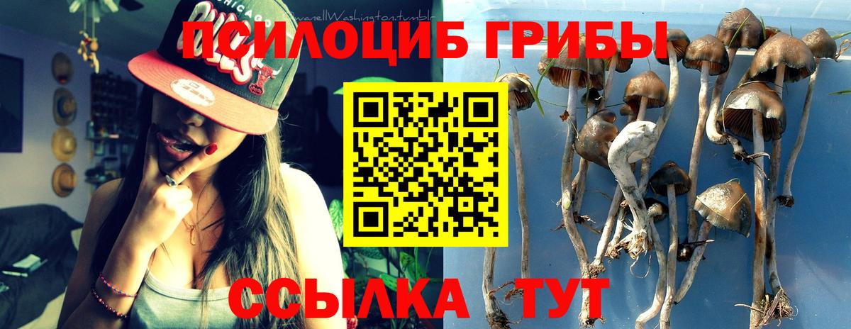 Галлюциногенные грибы мицелий Заволжье